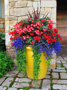 Contact us, flower pot, landscaping