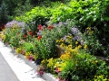 Flower Bed 1