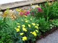 Flower Bed 4