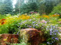 flowerbed2