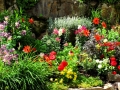 Flower Bed 7
