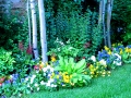 Flower Bed 9