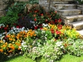 Flower Bed 12