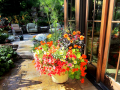 Flower Pot1