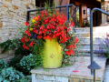 Flower Pot2