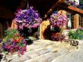 Hanging Baskets1