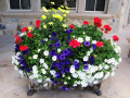 Flower Pot 3