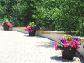 Flower Pot 7