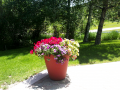 flowerpot2