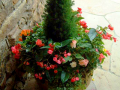 Flower Pot 9
