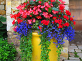Flower Pot 13