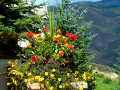 Flower Pot 14