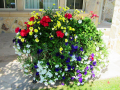 Flower Pot 16